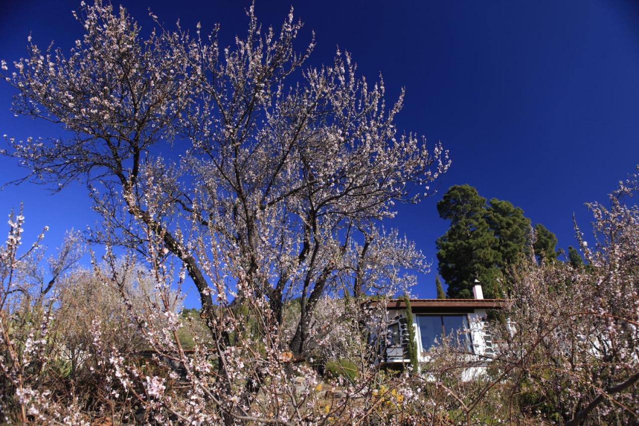 Puntagorda Panorama Suite El Mirador מראה חיצוני תמונה