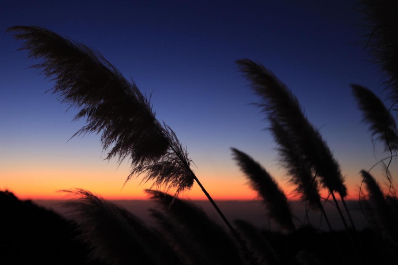 Puntagorda Panorama Suite El Mirador מראה חיצוני תמונה